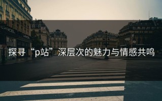 探寻“p站”深层次的魅力与情感共鸣