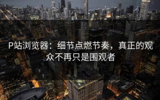 P站浏览器：细节点燃节奏，真正的观众不再只是围观者