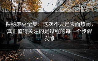 探秘麻豆全集：这次不只是表面热闹，真正值得关注的是过程的每一个步骤发酵