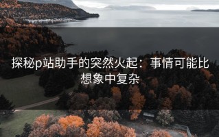 探秘p站助手的突然火起：事情可能比想象中复杂