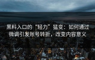 黑料入口的“轻力”猛变：如何通过微调引发账号转折，改变内容意义
