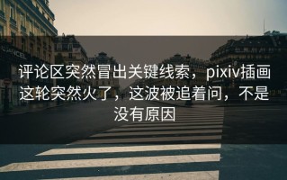 评论区突然冒出关键线索，pixiv插画这轮突然火了，这波被追着问，不是没有原因