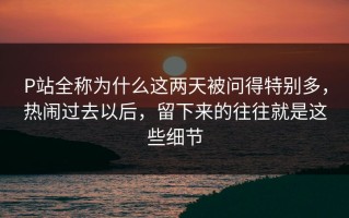 P站全称为什么这两天被问得特别多，热闹过去以后，留下来的往往就是这些细节
