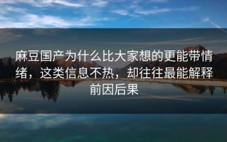 麻豆国产为什么比大家想的更能带情绪，这类信息不热，却往往最能解释前因后果