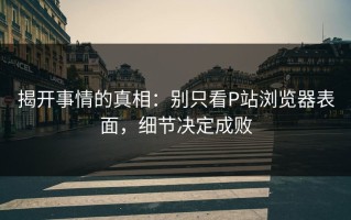 揭开事情的真相：别只看P站浏览器表面，细节决定成败