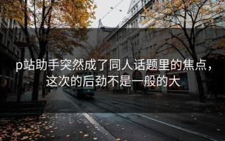 p站助手突然成了同人话题里的焦点，这次的后劲不是一般的大