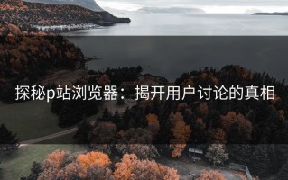 探秘p站浏览器：揭开用户讨论的真相