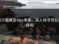 别只看麻豆App表面，深入探寻背后的真相