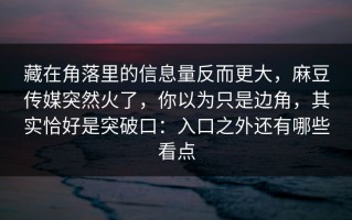 藏在角落里的信息量反而更大，麻豆传媒突然火了，你以为只是边角，其实恰好是突破口：入口之外还有哪些看点