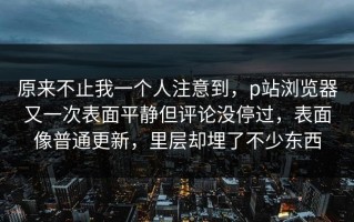原来不止我一个人注意到，p站浏览器又一次表面平静但评论没停过，表面像普通更新，里层却埋了不少东西