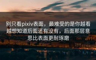 别只看pixiv表面，最难受的是你越看越想知道后面还有没有，后面那层意思比表面更耐琢磨