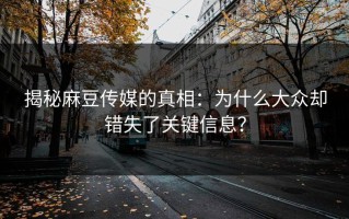 揭秘麻豆传媒的真相：为什么大众却错失了关键信息？