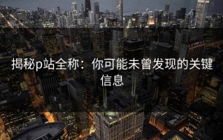揭秘p站全称：你可能未曾发现的关键信息