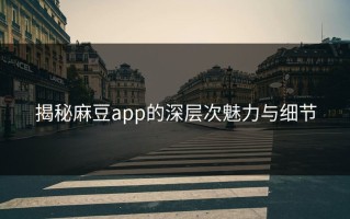 揭秘麻豆app的深层次魅力与细节