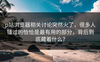 p站浏览器相关讨论突然火了，很多人错过的恰恰是最有用的部分，背后到底藏着什么？