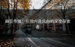 麻豆传媒：引领内容风向的深度探索者