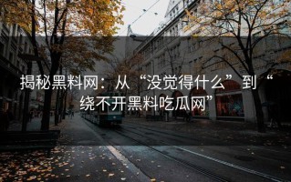 揭秘黑料网：从“没觉得什么”到“绕不开黑料吃瓜网”