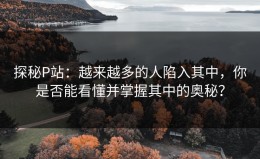 探秘P站：越来越多的人陷入其中，你是否能看懂并掌握其中的奥秘？
