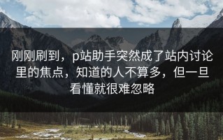 刚刚刷到，p站助手突然成了站内讨论里的焦点，知道的人不算多，但一旦看懂就很难忽略