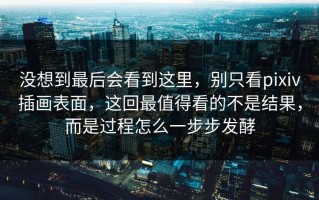 没想到最后会看到这里，别只看pixiv插画表面，这回最值得看的不是结果，而是过程怎么一步步发酵