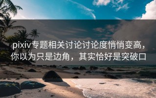 pixiv专题相关讨论讨论度悄悄变高，你以为只是边角，其实恰好是突破口