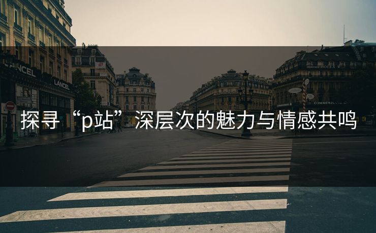探寻“p站”深层次的魅力与情感共鸣-第1张图片-p站搬运工影视网 | p站网页版推荐站