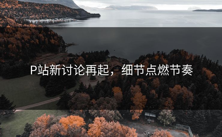 P站新讨论再起，细节点燃节奏-第1张图片-p站搬运工影视网 | p站网页版推荐站